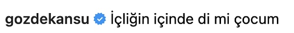 Mert Ramazan Demir'in dizideki annesi Gülgün karakterine hayat veren Gözde Kansu da oyuncunun yaptığı paylaşıma yorum yapmayı ihmal etmedi.👇