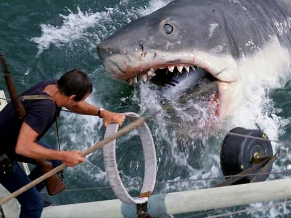 14. "En çok berbat köpekbalığı filmi izleme rekoru. 3 yıl içinde 156 köpek balığı filmi izledim ve hepsi birbirinden kötüydü..."