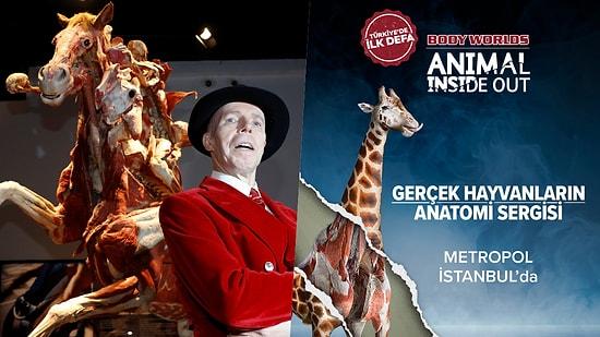 Sıra Dışı Bir Deneyim: Gerçek Hayvanların Anatomi Sergisi, Türkiye'de İlk Defa Metropol İstanbul'da