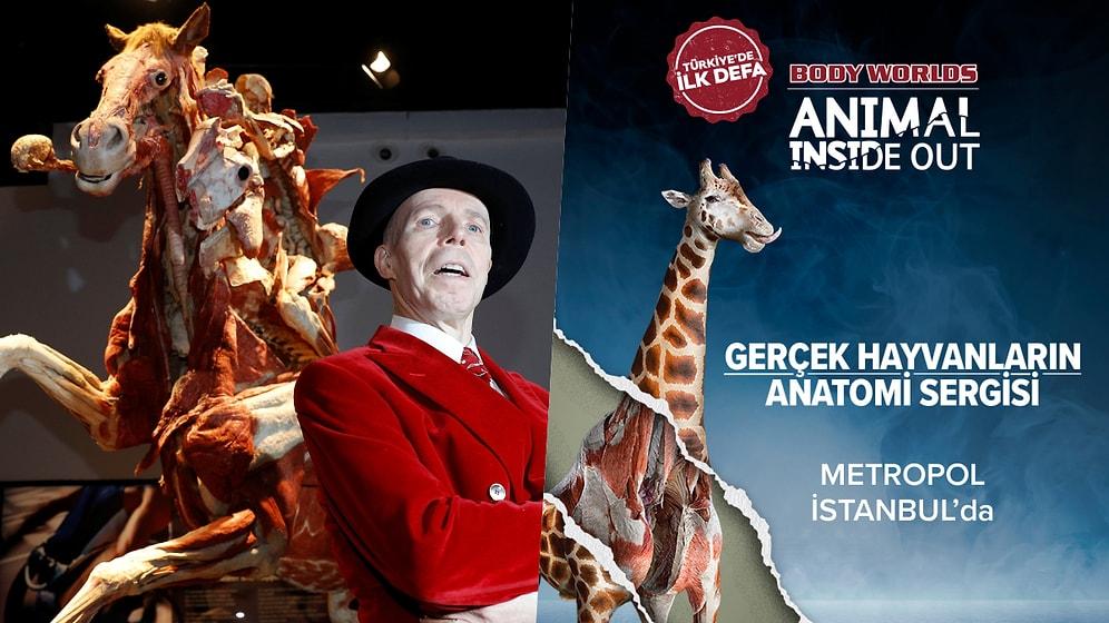 Sıra Dışı Bir Deneyim: Gerçek Hayvanların Anatomi Sergisi, Türkiye'de İlk Defa Metropol İstanbul'da