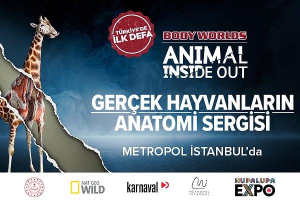 Daha fazlasını görmek için Metropol İstanbul HUPALUPA'da BODY WORLDS: ANIMAL INSIDE OUT sergisine davetlisiniz!