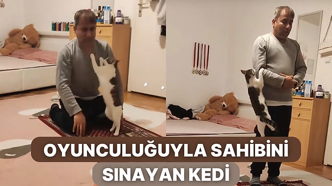 Oyuncu Kişiliğiyle Sahibinin Namaz Kılmasına Asla Müsaade Etmeyen Yaramaz Kedi