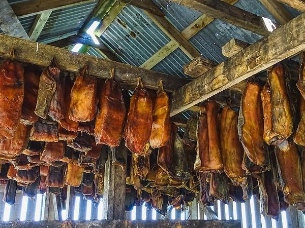 Taste Atlas'ın dünyanın en kötü yemekleri listesinde ilk sıranın sahibi  İzlanda'dan tütsülü köpek balığı eti "Hákarl" oldu.