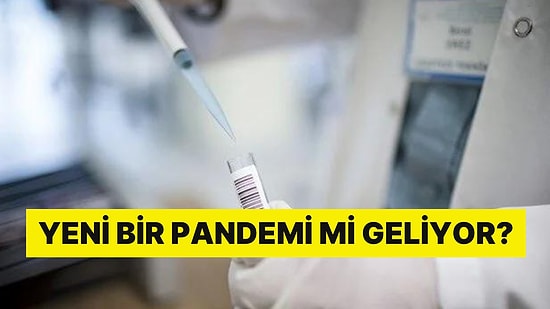 Dünyanın Yeni Korkusu: Japonya'da Maymun Çiçeği Virüsü Can Aldı