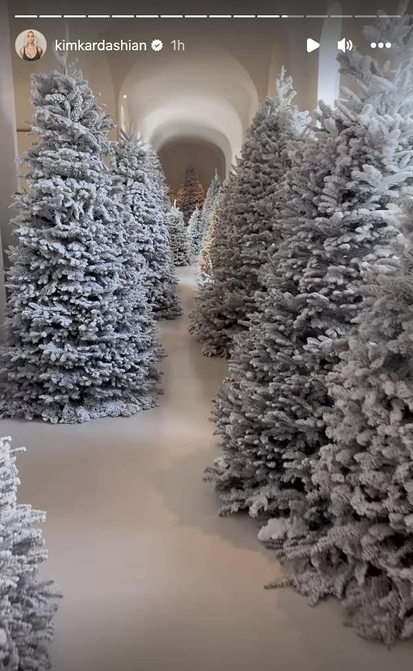 İsterseniz önce koridorla başlayalım. İlk bakışta görebileceğiniz üzere düzinelerce yıl başı ağacı var. Üzerleri de gerçek karla dekore edilmiş.