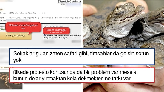 Bir Vatandaş Başıboş Köpek Sorunu için Yurt Dışından Timsah Sipariş Edip Boğaz'a Salacağını Açıkladı