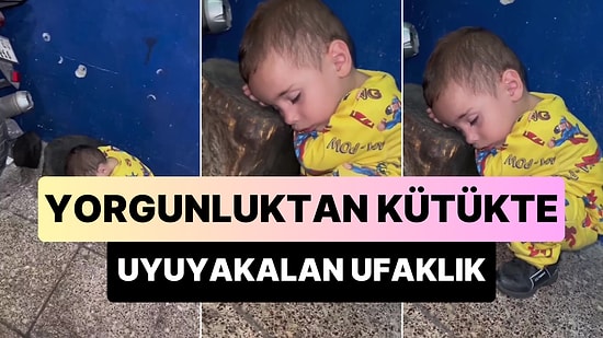 Yorgunluktan Kafasını Koyduğu Kütükte Uyuyakalan Ufaklık