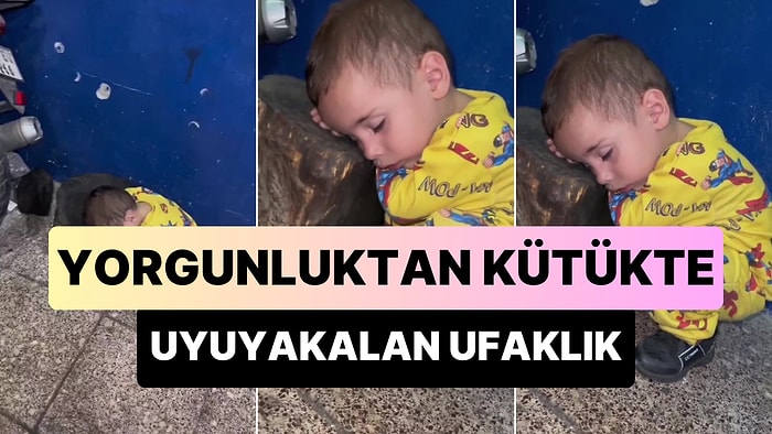 Yorgunluktan Kafasını Koyduğu Kütükte Uyuyakalan Ufaklık