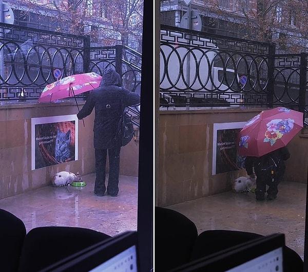 Azerbaycan'da kaydedilen ve TikTok'ta da viral olan görüntülerde bir kişinin sokakta mama yiyen kediye şemsiye tutarken görülüyor.