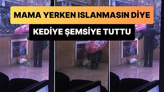 Yağmurlu Havada Mama Yiyen Kedi Islanmasın Diye Şemsiyesini Tutan Güzel İnsan