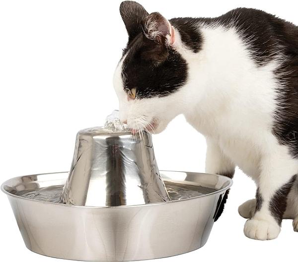 7. Kedilerin bayıldığı, temizlemesi kolay, üstelik elektrik kesildiğinde de kedinizin su içebileceği bir haznesi olan su sebili.