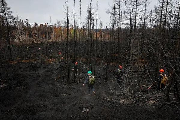4. Kanada'da büyük orman yangınları meydana geldi.