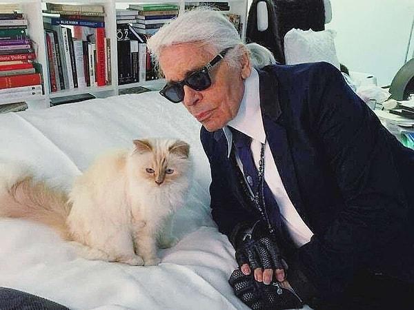 Chanel’in kreatif direktörü olan sonradan kendi markasını yaratan Karl Lagerfeld, 2019 yılında ölmeden önce Burma cinsi kedisi Choupette'e yaklaşık 300 milyon dolarlık mirasının bir kısmını vasiyet etti.