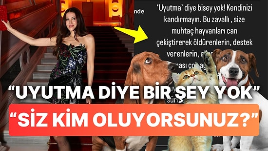 Başak Dizer'den Evcil Hayvanların "Uyutularak" Acılarının Gizlenmesine Öfke Saçan Tepki
