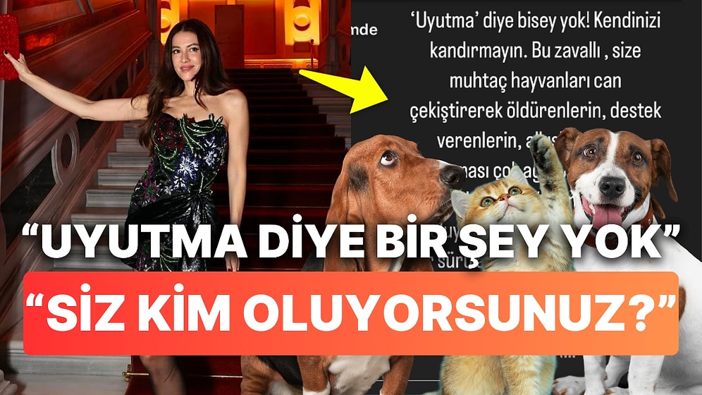 Başak Dizer'den Evcil Hayvanların "Uyutularak" Acılarının Gizlenmesine Öfke Saçan Tepki