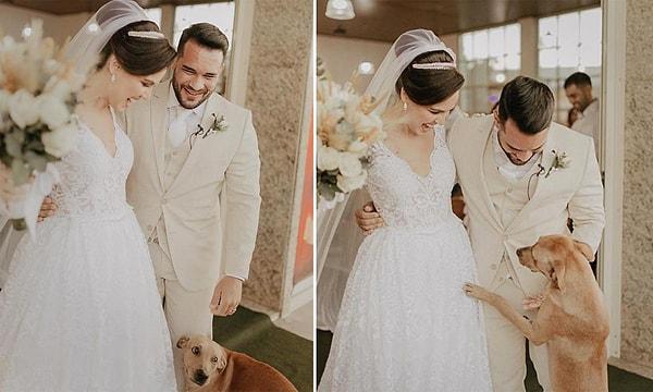 Yeni evlenen o çift ise düğünlerine davetsiz olarak gelen ve tüm sempatikliği ile gönülleri fetheden köpeği sahiplenerek tedavisini yaptırdılar.