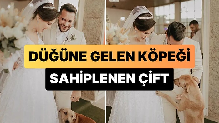 Düğüne Gelen Ayağı Sakat Köpeği Sahiplenip, Yeni Bir Hayata Kavuşmasını Sağlayan Gelin ile Damat