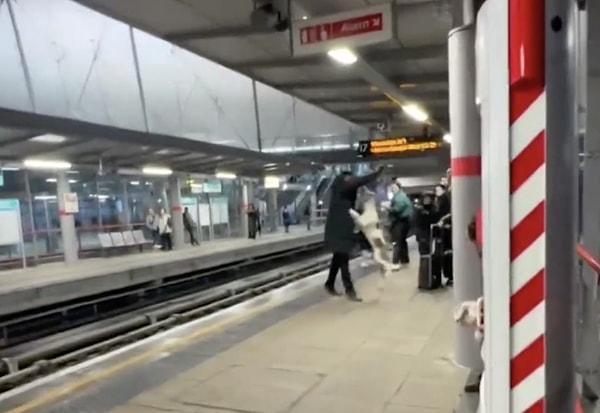 Bir kadın, köpekleriyle birlikte istasyona geldi fakat bir anda köpekleri kontrolden çıktı.