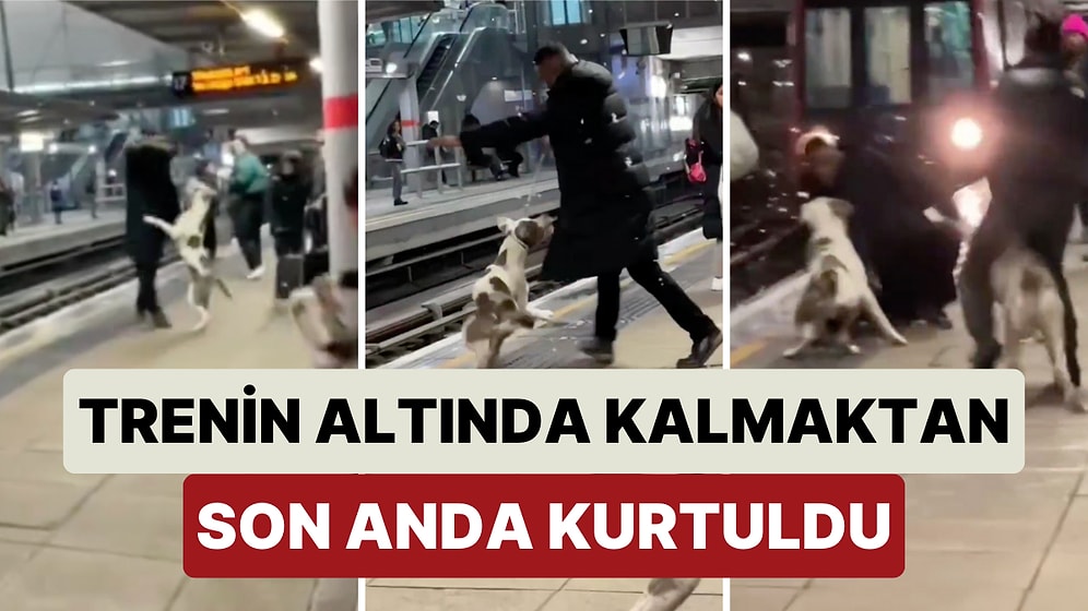 Tren İstasyonunda Köpeklerini Zapt Edemeyen Kadına Yardım Eden Bir Adam Trenin Altına Kalmaktan Zor Kurtuldu