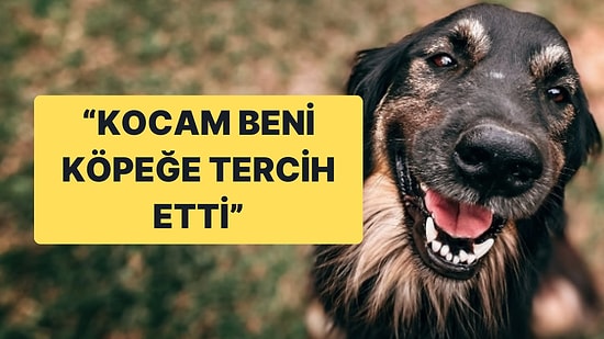 Yuva Yıkan Köpek Sevgisi: ‘Ya Ben Ya O’ Resti İşe Yaramadı