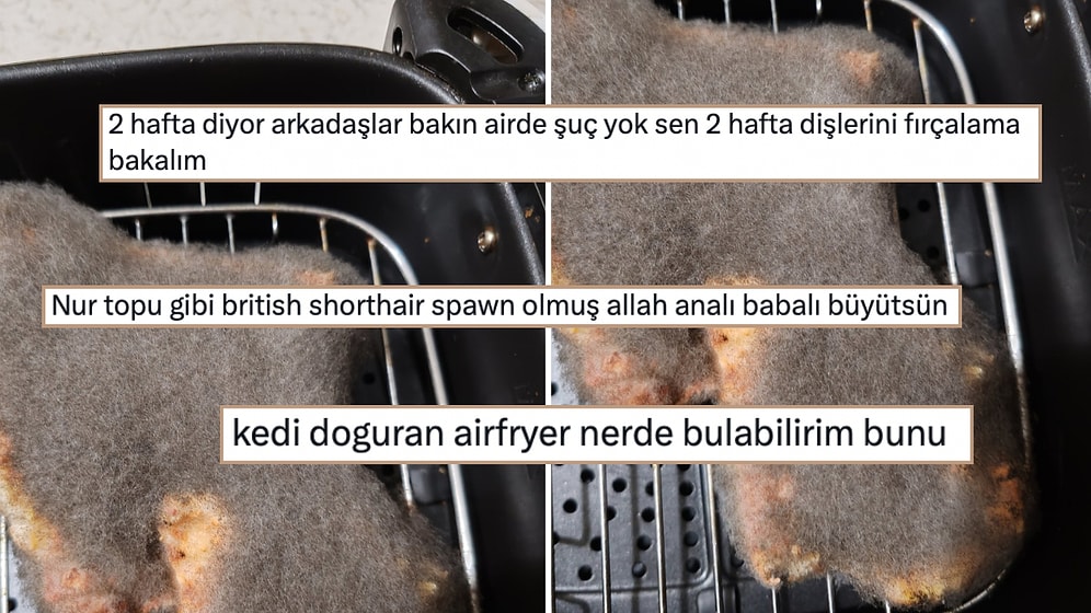 İki Hafta Airfryer'da Unutulup Küf Tutan Pizzaya Gelen Tepkiler İştahınızı Kaçıracak