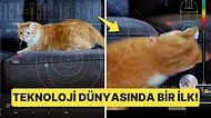 Yeni Dönüm Noktası: NASA, Son Teknoloji Lazer Teknolojisi Kullanarak Uzaydan Video Yayını Yaptı