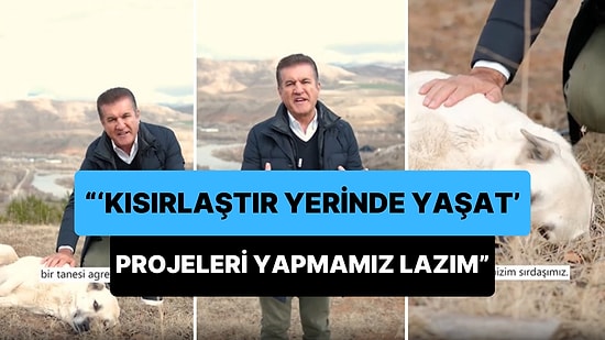 Mustafa Sarıgül, Sokak Hayvanları ile İlgili Düşüncelerini Açıkladı: Bir Tanesi Agresif Diye Hepsine Kızamayız