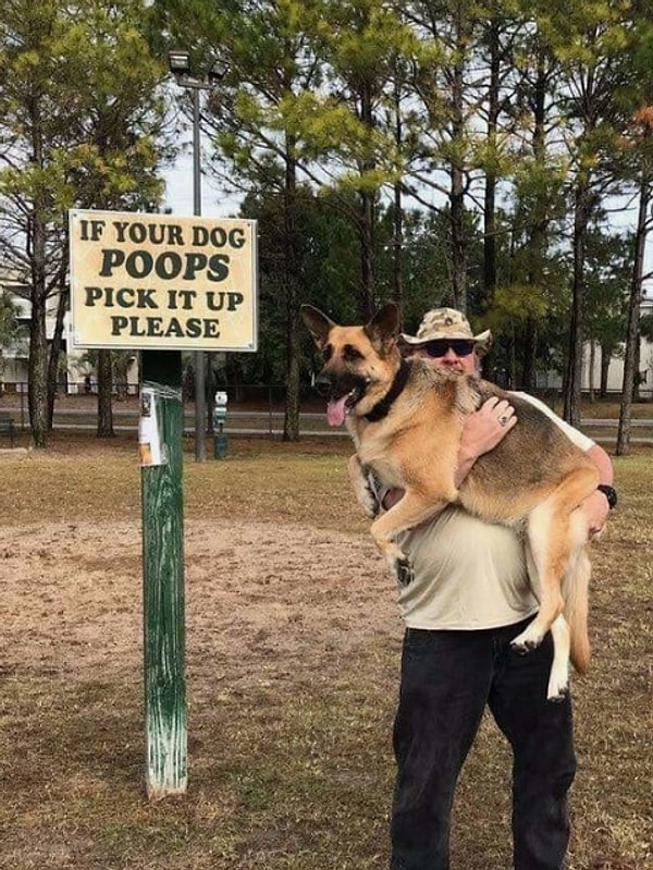 10. "Köpeğiniz dışkısını yapıyorsa lütfen yerden alınız."