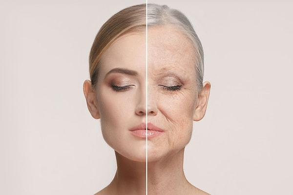 Understanding the Aging Process: A Journey Through Time