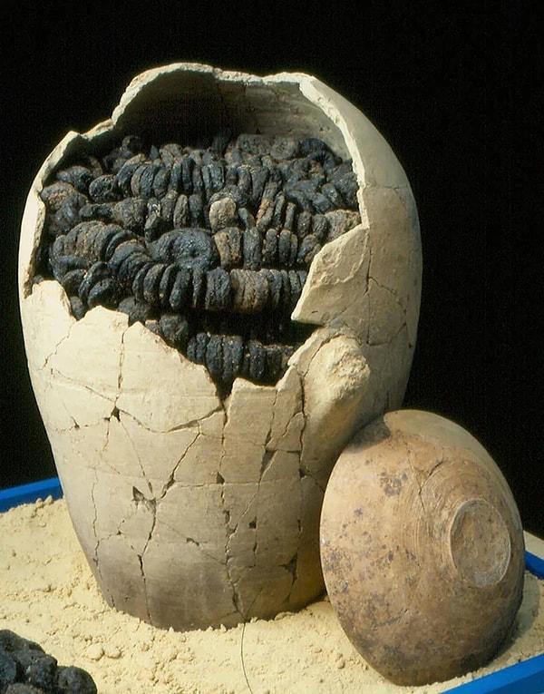 13. İplerle birbirine bağlanıp dizilmiş yanmış incirlerle dolu 3.100 yıllık kavanoz. (M.Ö 12. yüzyıl)