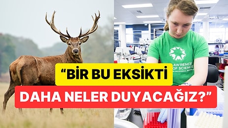 "Yavaş İlerleyen Bir Felaket" Dediler: Bilim İnsanlarından Zombi Geyik Hastalığı Uyarısı