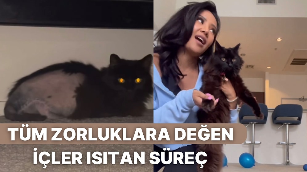 Kansere Yakalanan Bir Kediyi Sahiplenerek Ona Tüm İmkanlarını Sunan Kadın Sevginin Gücünü Kanıtladı