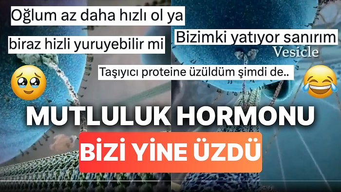 Mutluluk Hormonu Taşıyan Protein Videosunun Yavaşlığı Neden Hepimizin Mutsuz Olduğunu Bir Kez Daha Gösterdi