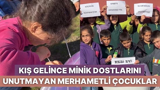 Minik Dostları Üşümesin Diye Leğenden Kedi Evi Yapan Çocukların Size Önemli Bir Mesajı Var