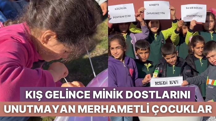 Minik Dostları Üşümesin Diye Leğenden Kedi Evi Yapan Çocukların Size Önemli Bir Mesajı Var