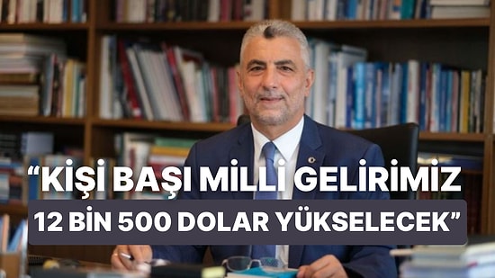 Bakanın Kişi Başı Gelirin 12 Bin 500 Dolar Olacağı Açıklaması Yorumlara Neden Oldu