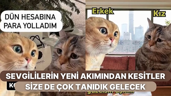 Kedilerin Konuşmalarını Kendilerine Uyarlayan Çiftlerin Akımı TikTok Keşfeti Ele Geçirdi