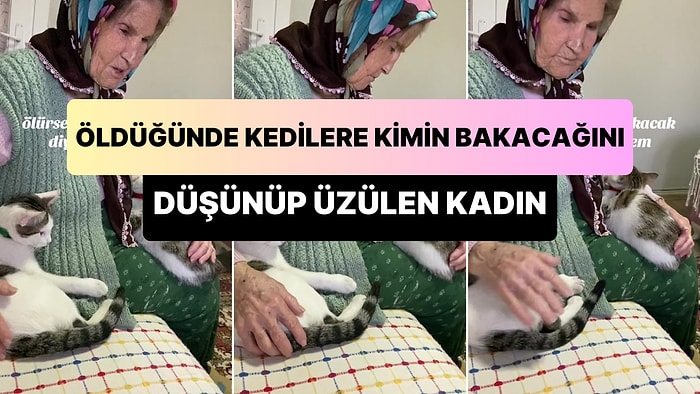 Birlikte Yaşadığı Kedi Dostları İçin 'Ölürsem Size Kim Bakacak?' Diyerek Üzülen Kadın