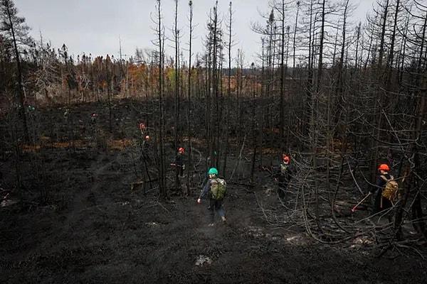 4. Massive forest fires strike Canada.