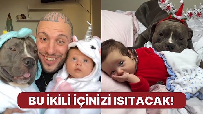 Minik Dostuna Olan Sevgisi ve Korumacılığıyla Kendine Hayran Bırakan Köpeğe Kalbiniz Eriyecek