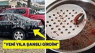 Çöle Düşse Kutup Ayılarıyla Karşılaşıp Birtakım Tatsız Olaylar Yaşayabilecek 15 Bahtsız Kişi