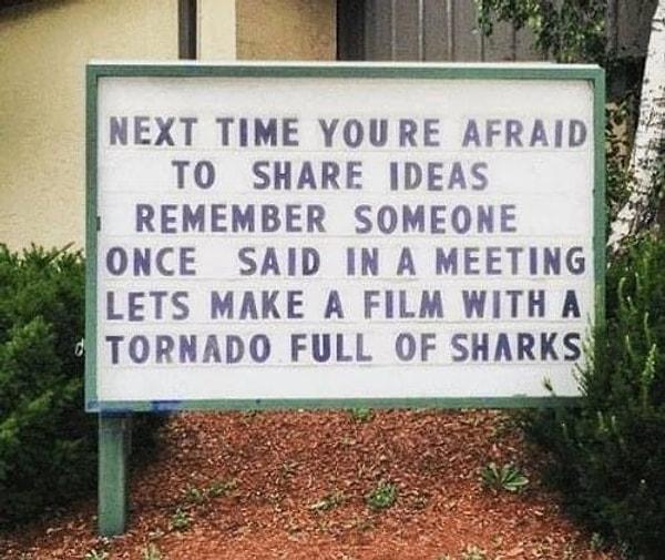 2. "Aklındakileri paylaşmaktan çekindiğin zaman birisinin bir film toplantısında 'Hadi içerisi köpekbalığı dolu bir tornadoyla ilgili film yapalım,' dediğini hatırlamaya çalış."