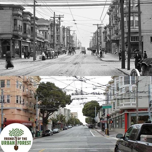 9. Doğuya Fillmore Caddesi'ne bakan Haight Caddesi, San Francisco. (1911 ve 2015)