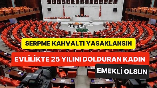 25 Yıl Evli Kalan Kadınlar Emekli Olsun! TBMM Dilekçe Komisyonuna Birbirinden İlginç Talepler Yağdı