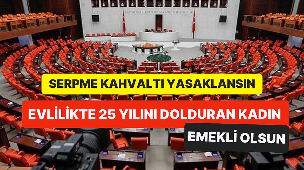 25 Yıl Evli Kalan Kadınlar Emekli Olsun! TBMM Dilekçe Komisyonuna Birbirinden İlginç Talepler Yağdı