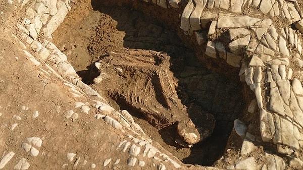 Galler'de nadir görülen, erken orta çağa ait bir mezarlık keşfedildi ve bulunanlar, arkeologları şaşırtmış durumda.