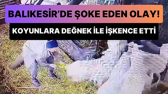 Balıkesir'de Dehşete Düşüren Olay: Komşusunun Ağılına Girip Koyunlara Değnek ile İşkence Etti!