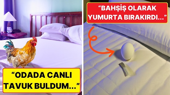 Otellerde Çalışırken Başlarına Gelen Olaylarla Seyahate Tövbe Ettiren 15 Kişi
