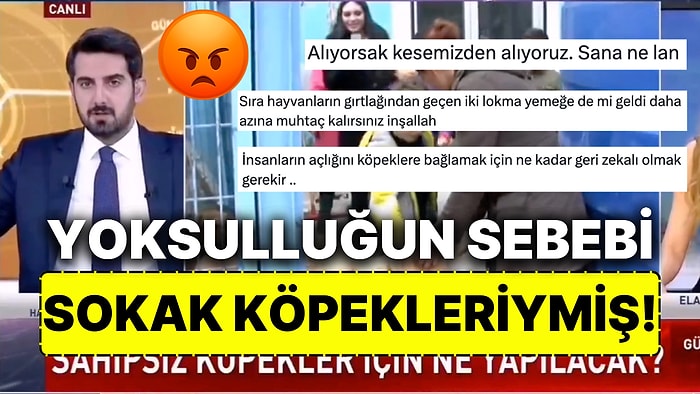 Canlı Yayında İnsanların Yoksul Olmasının Sebebini Sokak Köpeklerine Bağlayan HaberTürk Temsilcisi Sinir Bozdu