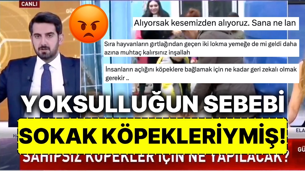 Canlı Yayında İnsanların Yoksul Olmasının Sebebini Sokak Köpeklerine Bağlayan HaberTürk Temsilcisi Sinir Bozdu